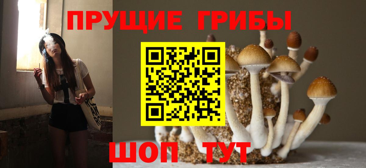 Каспийск  Псилоцибиновые грибы прущие грибы  Галлюциногенные грибы MAGIC MUSHROOMS  Вход с VPN 